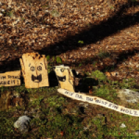 Ein Holzscheit erzählt...