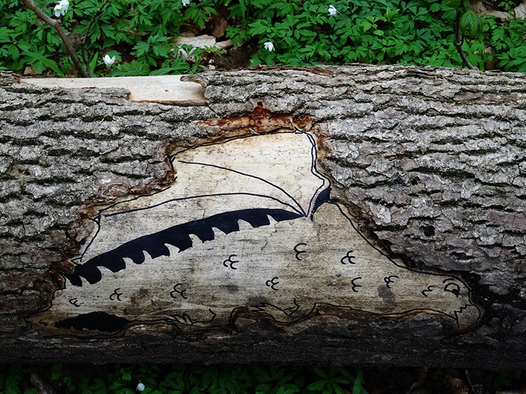 Illustration: Baumdrachen und Greifmischwesen 3