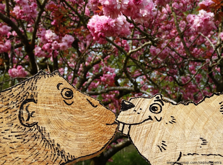 Illustration: Ein Affe knutscht... 6