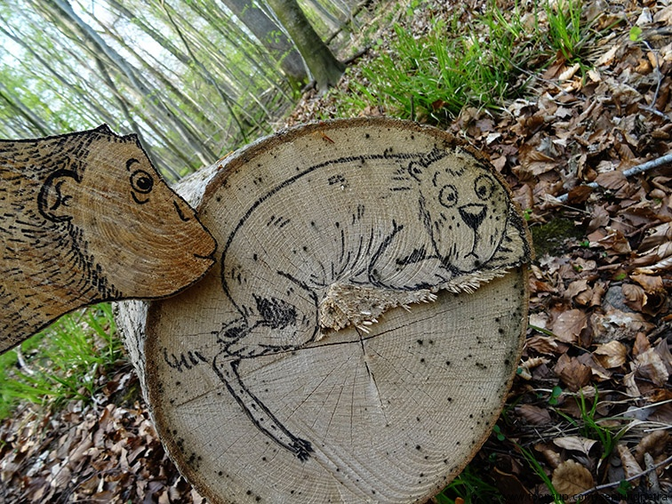 Illustration: Ein Affe knutscht... 9