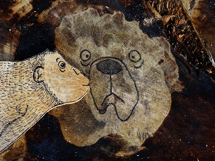 Illustration: Ein Affe knutscht... 10
