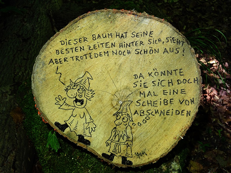 Cartoon: Szenen einer langen Wichtelehe 1
