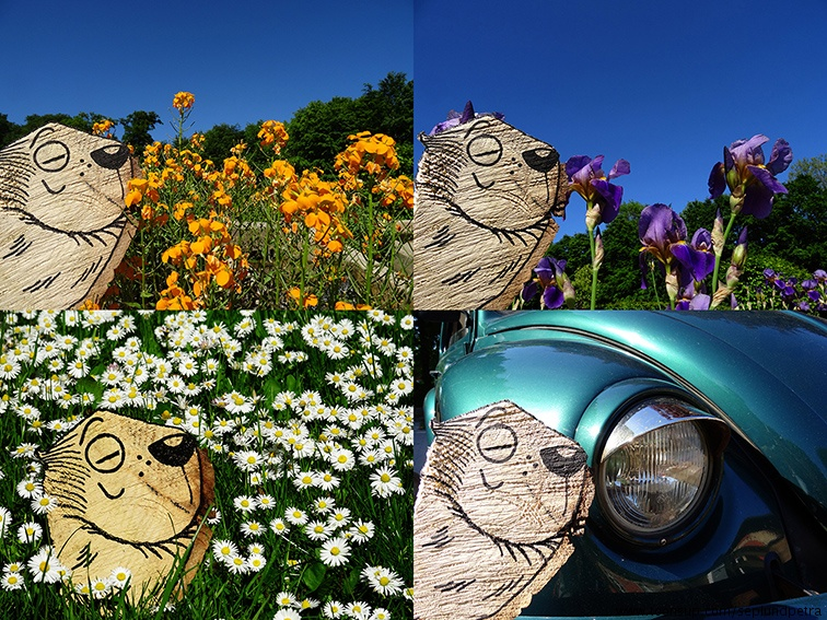 Illustration: Blumen und Käfer 1