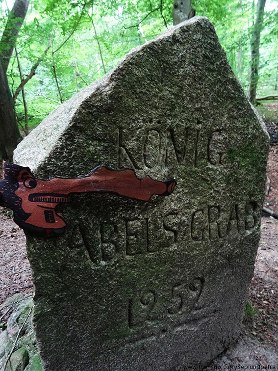 Illustration: Zipfelnasenrindenwesen 1