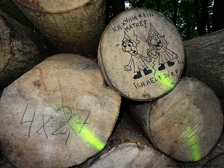 Cartoon: Mathe im Wald 1