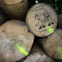 Mathe im Wald