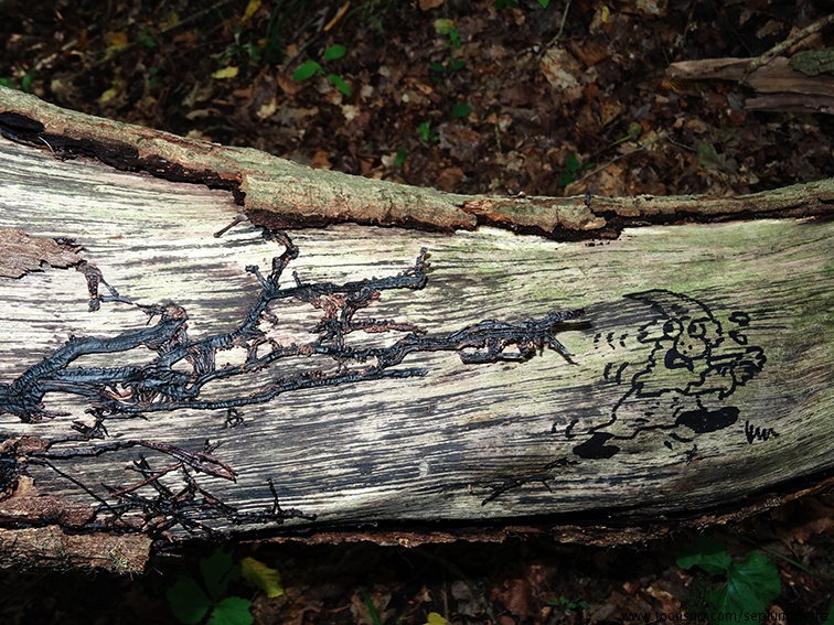 Illustration: Gruselwald 1