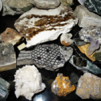 Steinsammlung