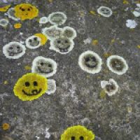 Malt mehr Smileys!