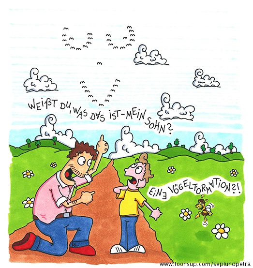 Cartoon: Formationsflug 1