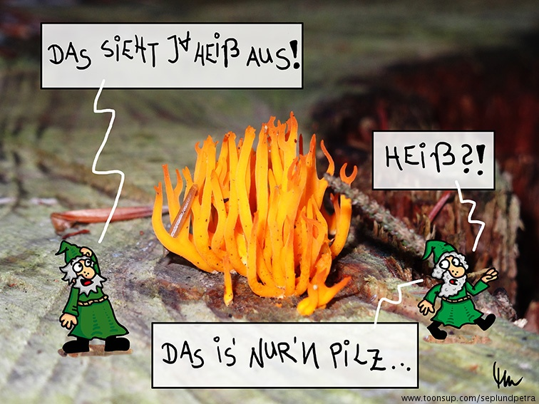 Cartoon: Heiß 1