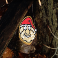 Weihnachten im Wald