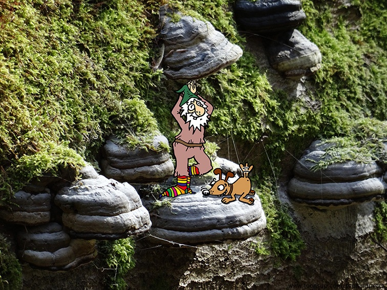 Illustration: Yogawichtel im Wald 1