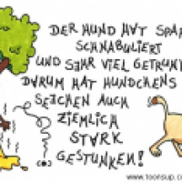 Spargelsaison