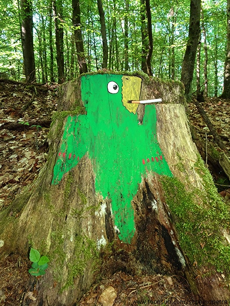 Illustration: Papagei im Wald 2