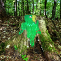 Papagei im Wald