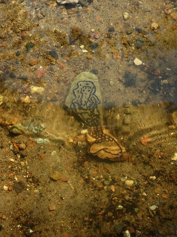 Illustration: Im Wasser 1