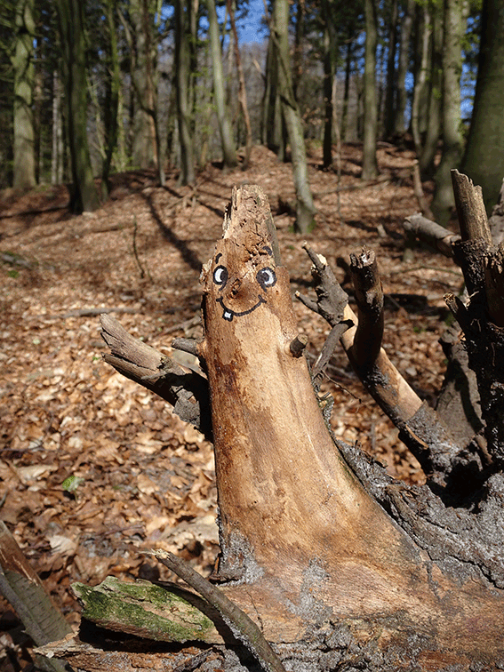 Animation: Aus dem Wald 1