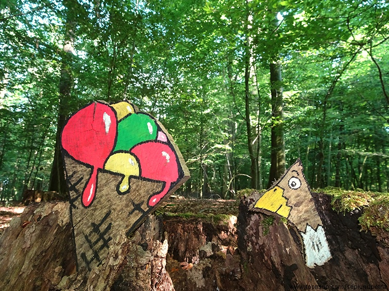Illustration: leichtes Bilderrätsel aus dem Wald 1