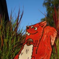 Eichhörnchen im Garten
