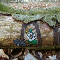 Neulich im Wald...