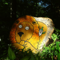 The lion sleeps tonight...