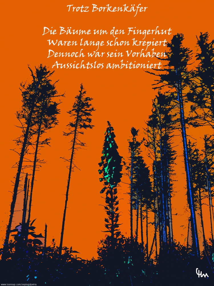 Illustration: Monokulturfolge 1