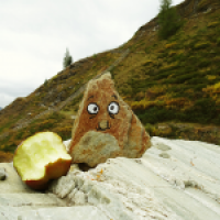 Hungriggrummeliger Berggnom