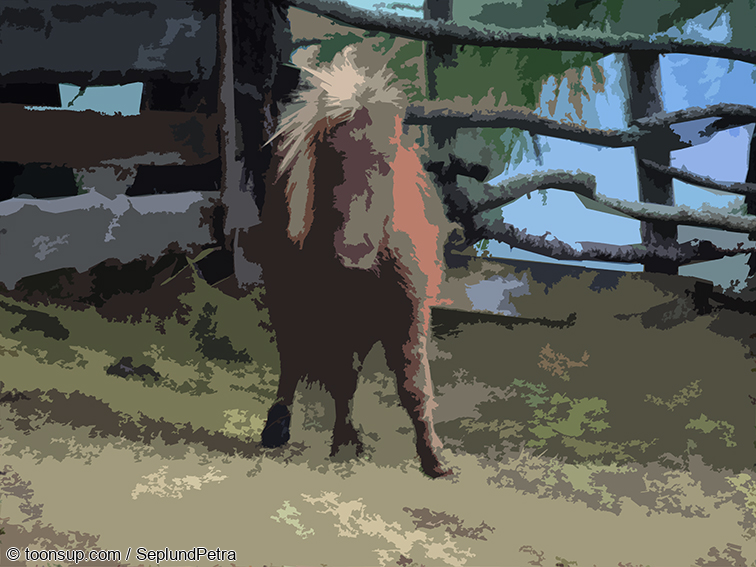 Illustration: Wandereindrücke I (digital bearbeitet) 15