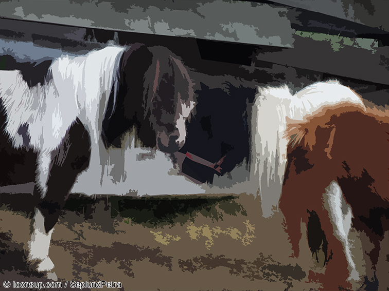 Illustration: Wandereindrücke I (digital bearbeitet) 16