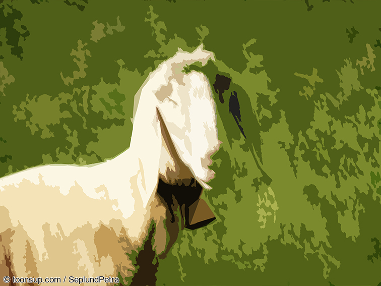 Illustration: Wandereindrücke I (digital bearbeitet) 22