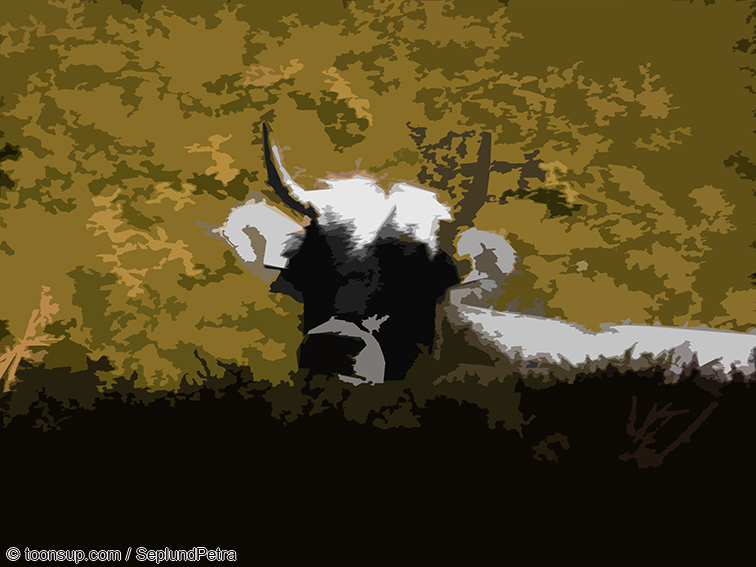 Illustration: Wandereindrücke I (digital bearbeitet) 27