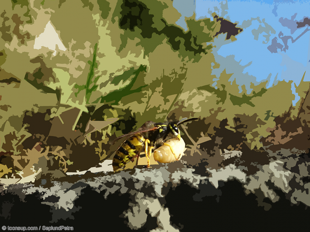 Illustration: Wandereindrücke I (digital bearbeitet) 28