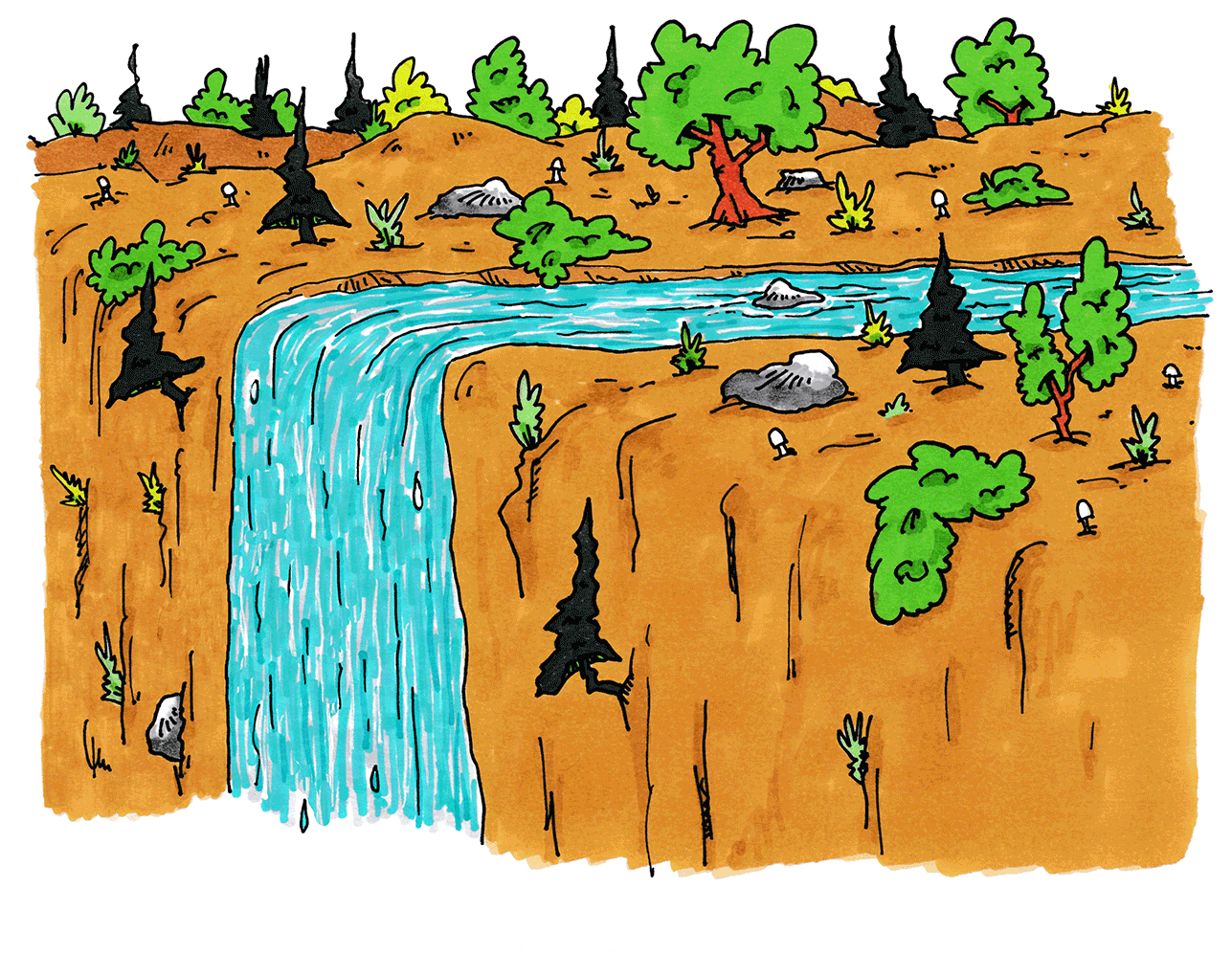 Animation: Paddelaction 1