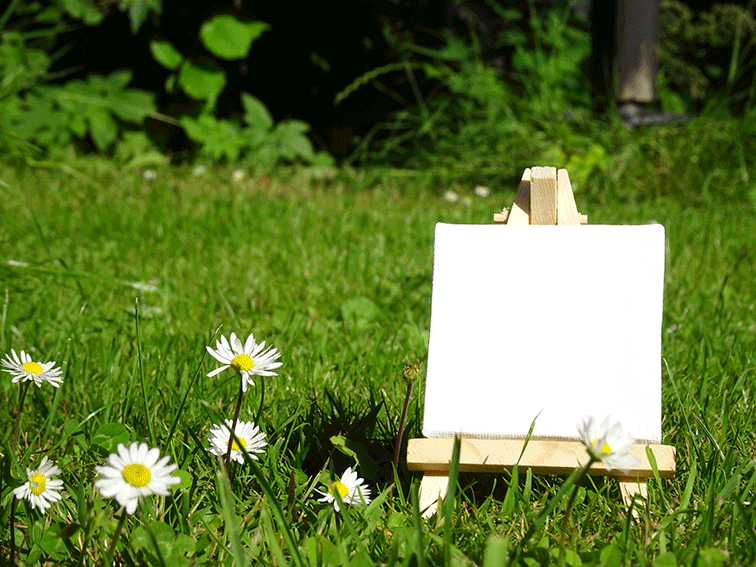 Animation: Wichtelflucht und Metamorphose 1