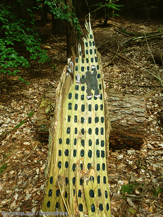 Illustration: Filmklassiker im Wald 1