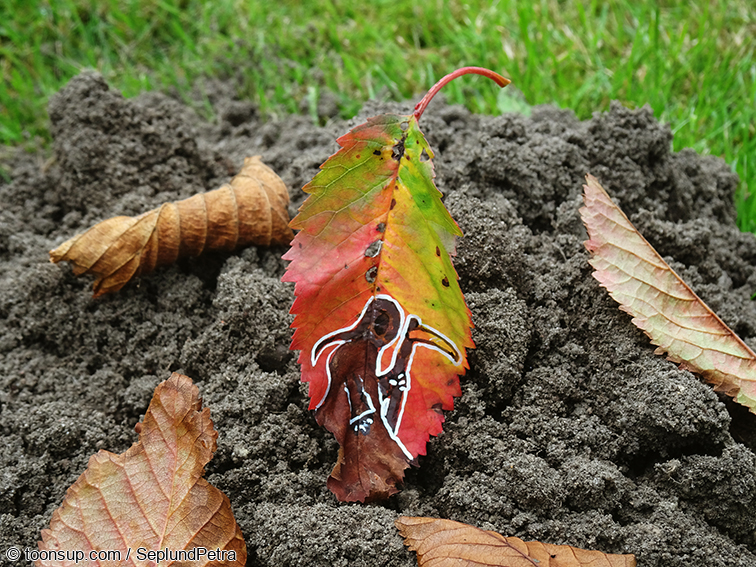 Illustration: bunter Herbststrauss 5