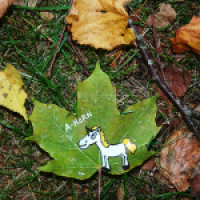 bunter Herbststrauss