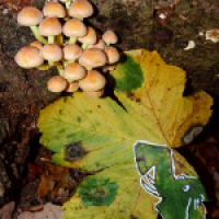 Feierabendrunde am 1.11.22