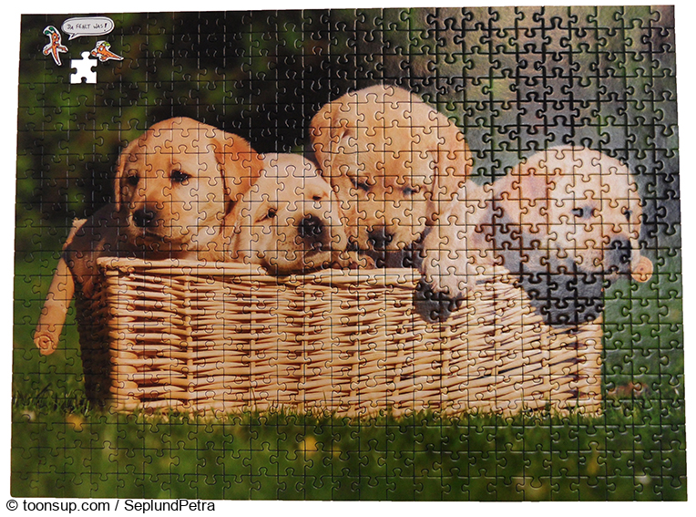 Cartoon: Puzzle 1