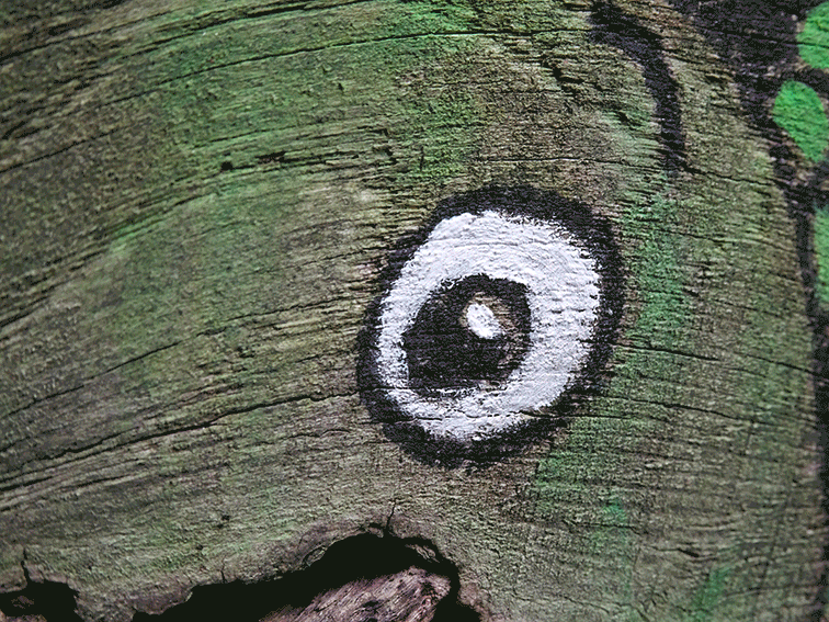 Animation: Endlich mal wieder im Wald gewesen ... 1