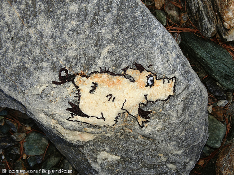 Illustration: Alpine Frühlingswerke (kleine Auswahl) 7
