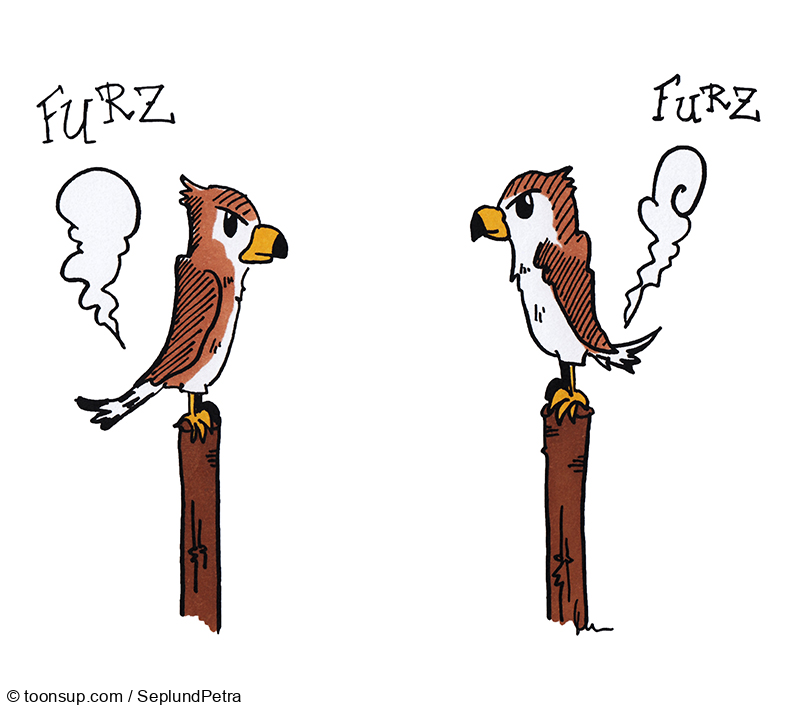 Illustration: Ein paar Tierillustrationen 8
