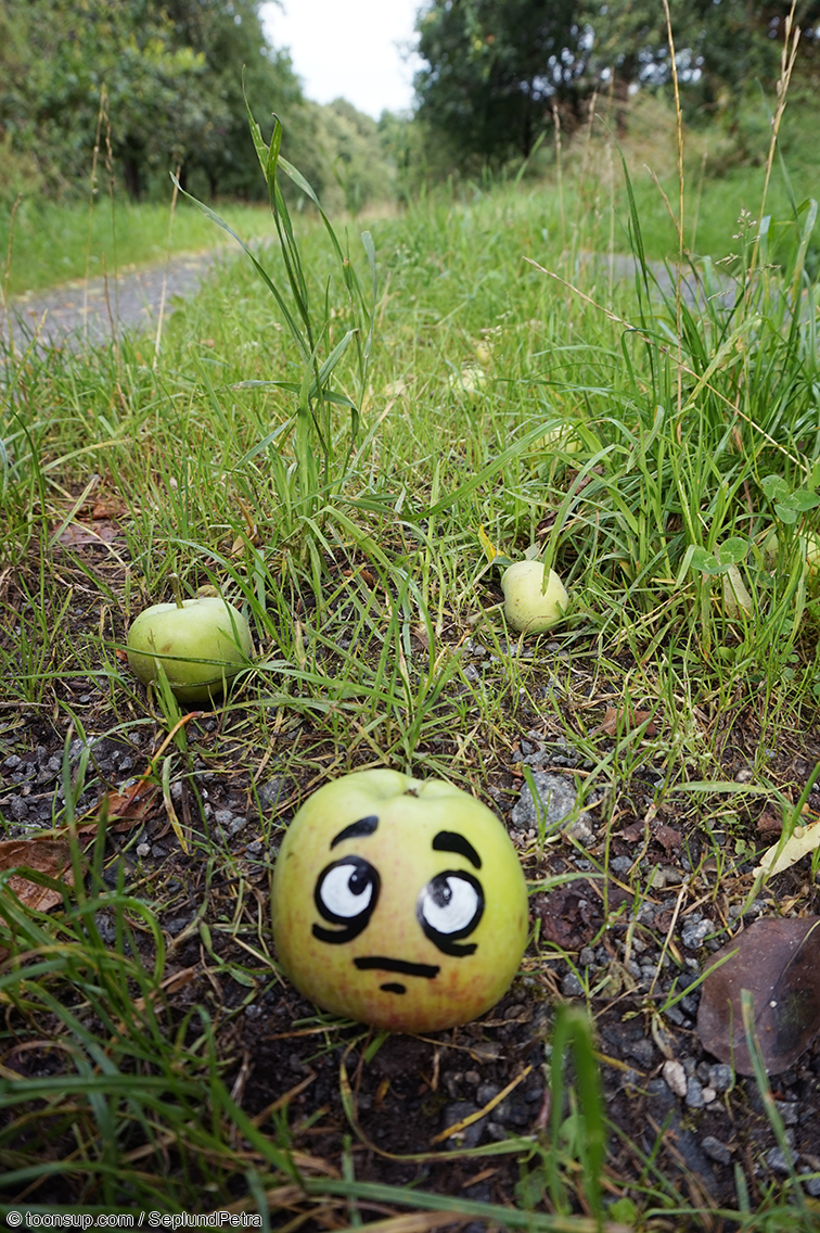 Illustration: Endlich trocken! 3