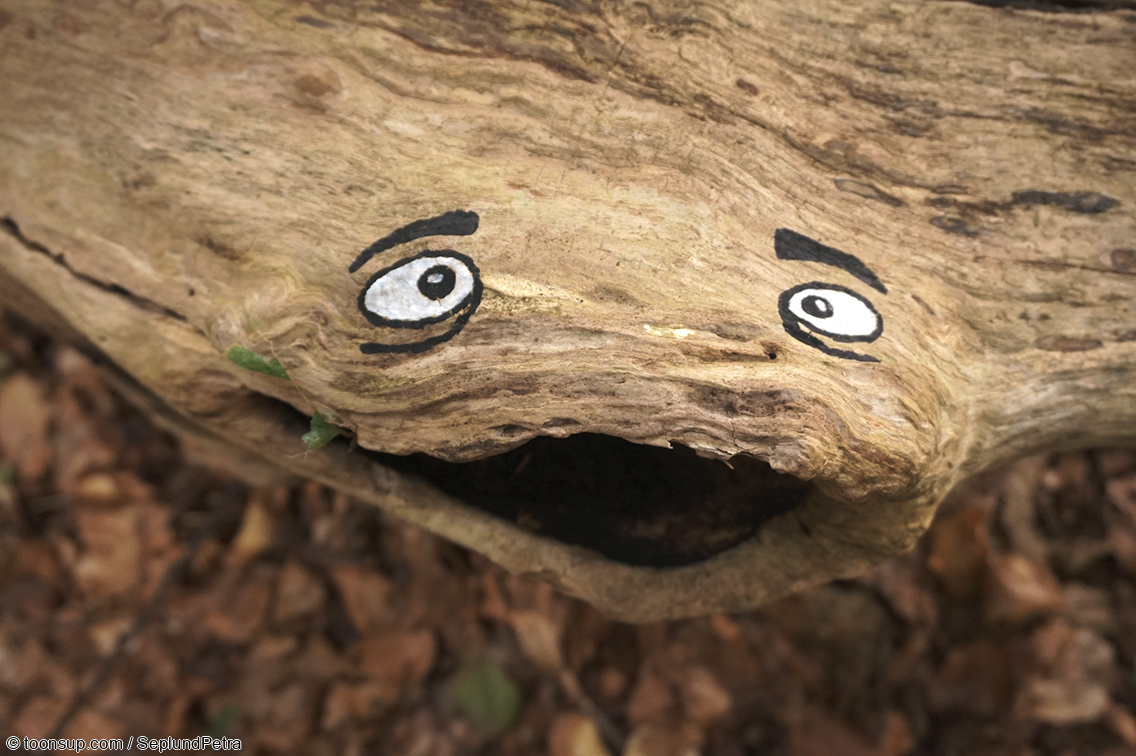 Illustration: Endlich trocken! 5