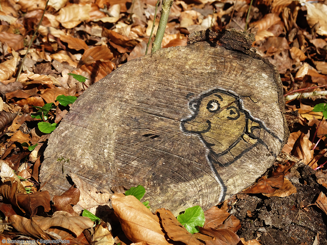 Cartoon: Zwei-Motiv-Bilder 5