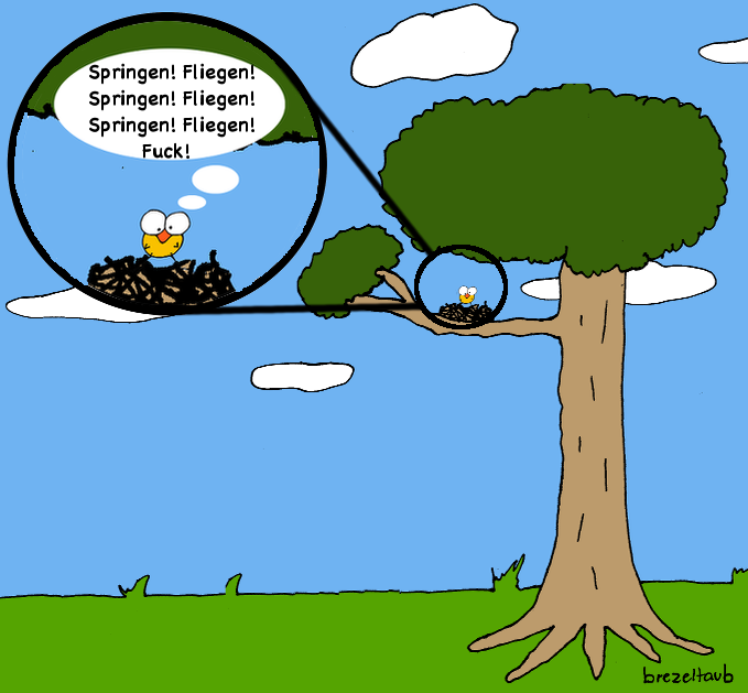 Cartoon: Erstflug 1