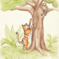 Der Tiger und der Affee