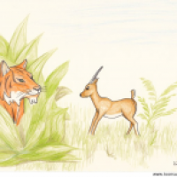 Der Tiger und die Gazelle
