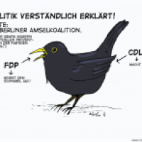 Amselkoalition